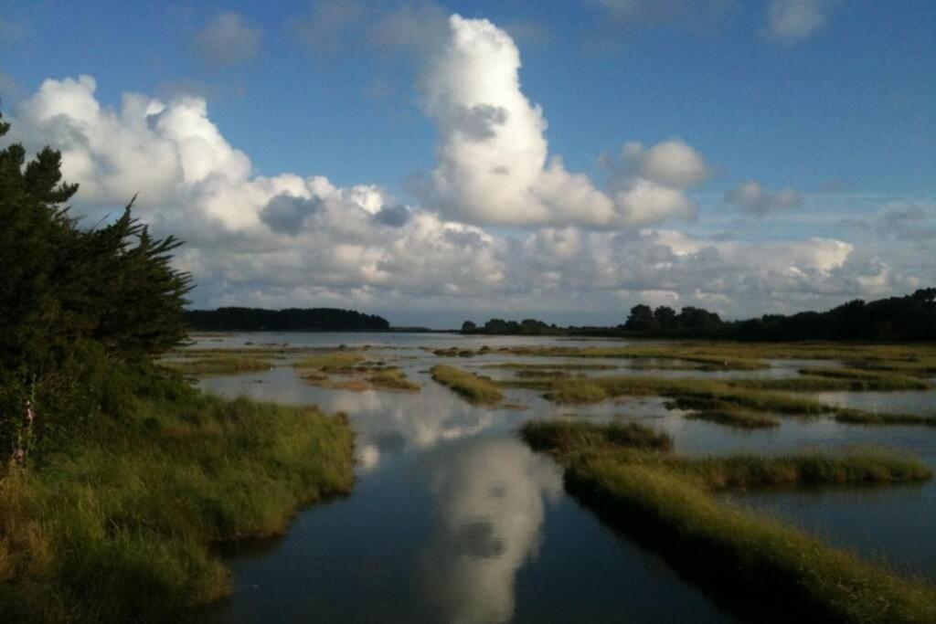 Maison Avec Jardin Clos. Animaux Acceptes - Wifi - Proche Plages De La Trinite Sur Mer Et Carnac المظهر الخارجي الصورة